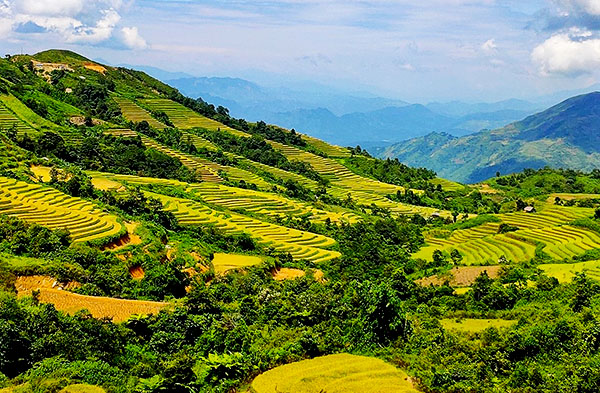 Sinsuoiho/Vietnamexploration Sinsuoiho/Vietnamexploration