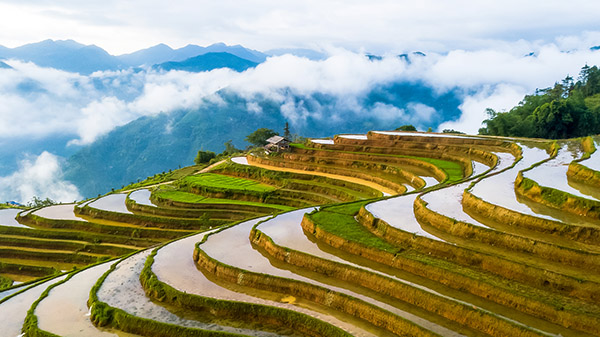 Voyage moto Vietnam/Hoang Su Phi Voyage moto Vietnam/Vietnam Exploration