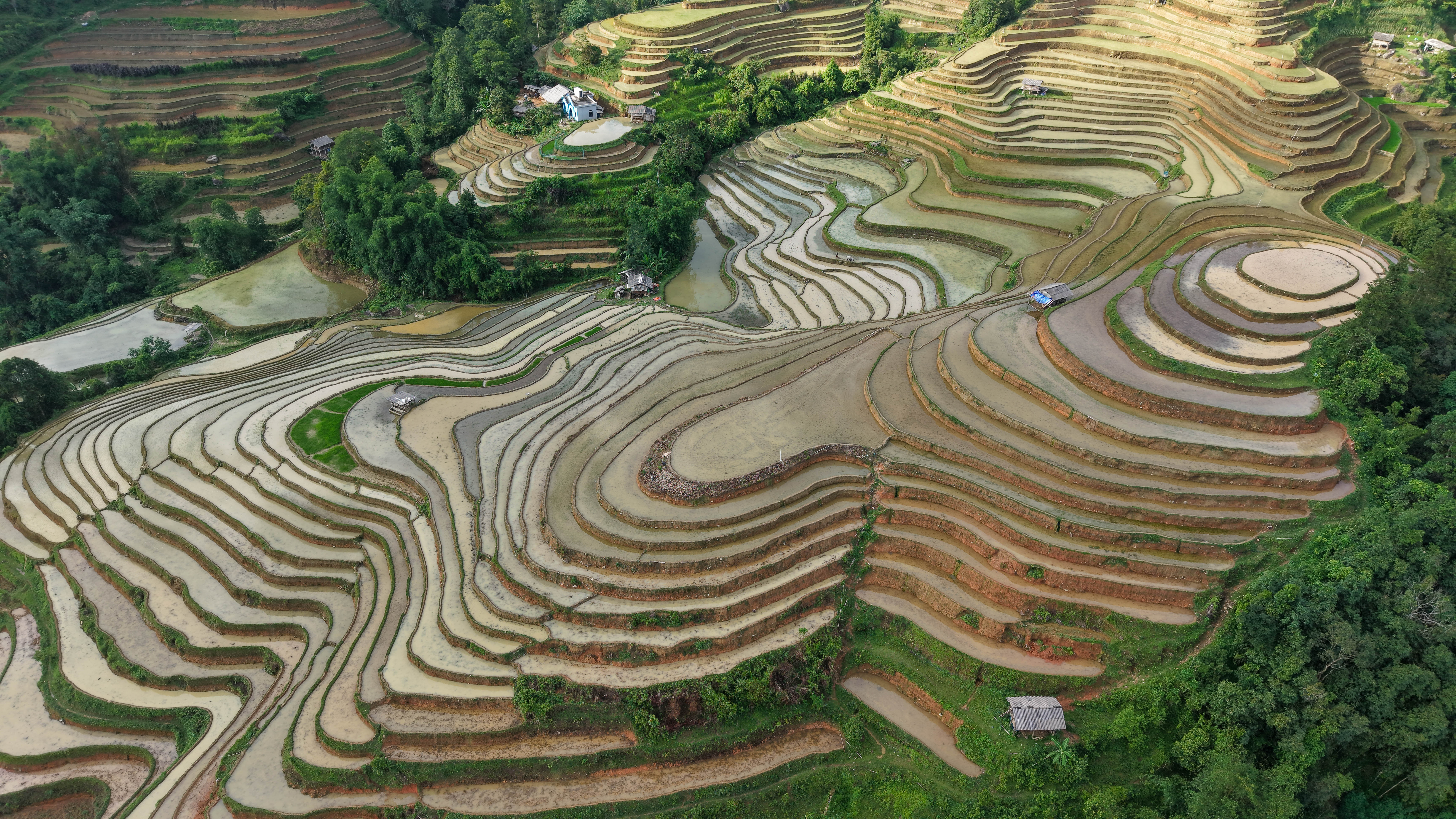 Préparation des rizières en terrasses de Hoang Su Phi Rizières en terrasses en préparation à Hoang Su Phi au Vietnam