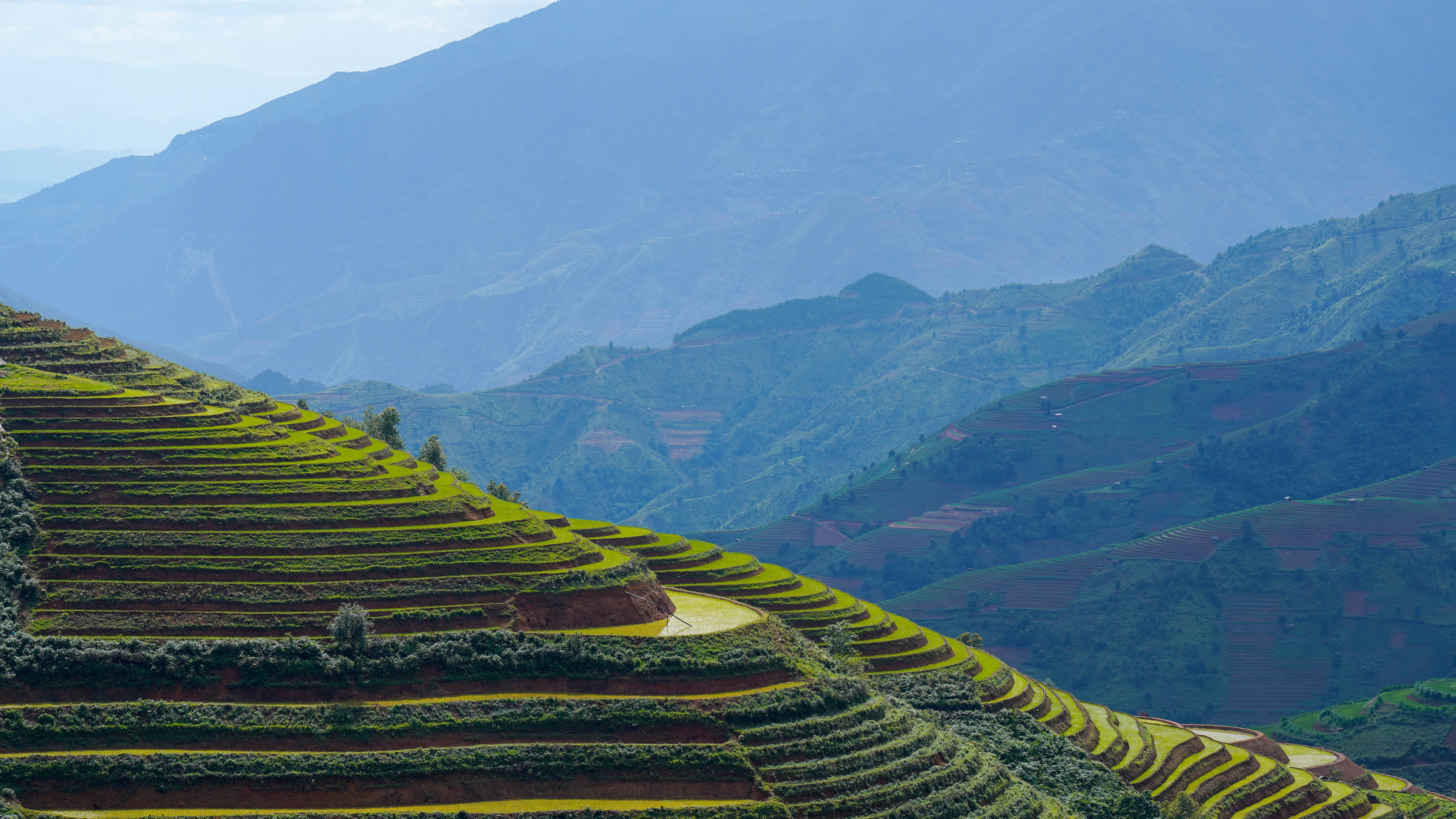Rizières en terrasses de Ta Xua Rizières en terrasses de Ta Xua dans les montagnes du Nord du Vietnam